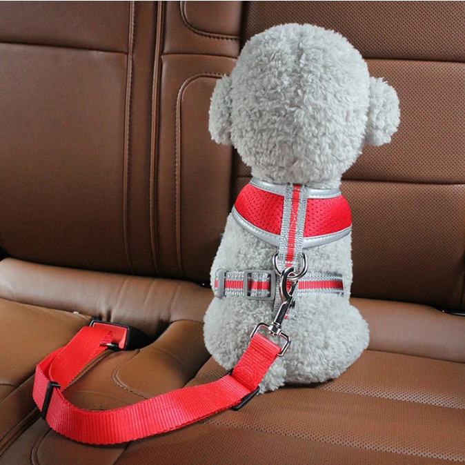 Cat Car Seat Belt Dog Accessor - Travel Accessories Dog avaliação e preço