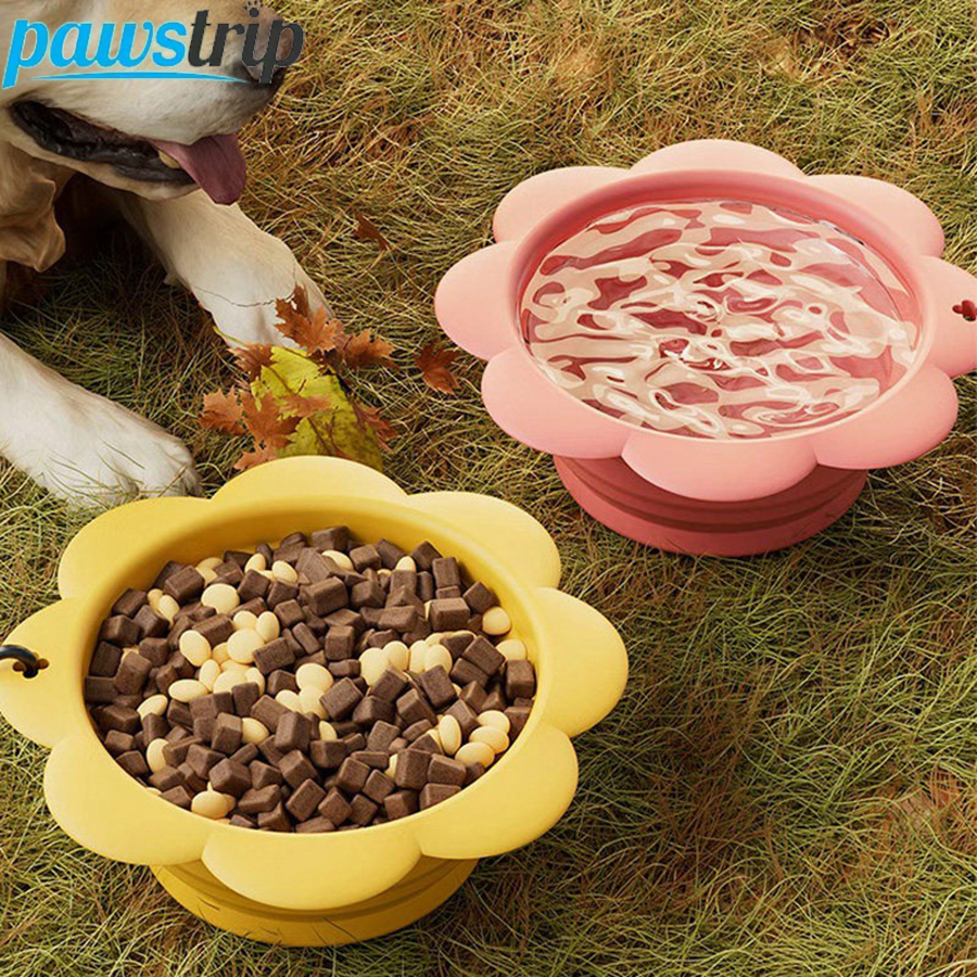 350ml Collapsible Dog Bowl Por - Travel Accessories Dog avaliação e preço